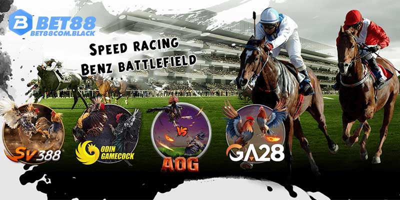 Kiến thức đá gà chuẩn giúp thành viên Bet88 dễ dàng bắt đầu